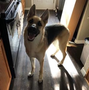 Meet your Posher, Victoria